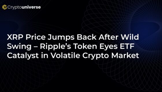 4506bb2d-9337-4fd5-8e13-c2ac1aae7c51.jpg 4506bb2d-9337-4fd5-8e13-c2ac1aae7c51.jpg