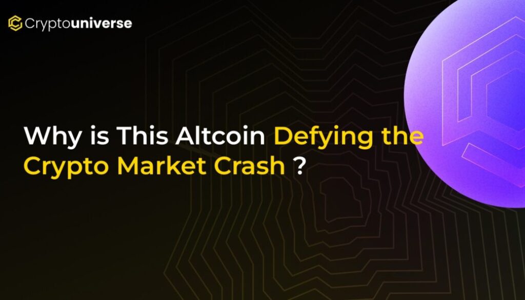 5f3c88b0-6609-4db2-80b8-605b679eadfb.jpg 5f3c88b0-6609-4db2-80b8-605b679eadfb.jpg