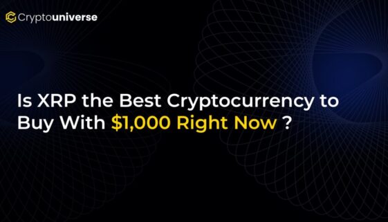 c563dddc-5833-4a8f-a956-3e75c0640d49.jpg c563dddc-5833-4a8f-a956-3e75c0640d49.jpg