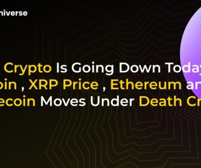 567c113e-8c8c-4990-9103-bd5c0ef84f28