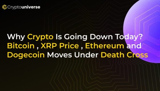 567c113e-8c8c-4990-9103-bd5c0ef84f28