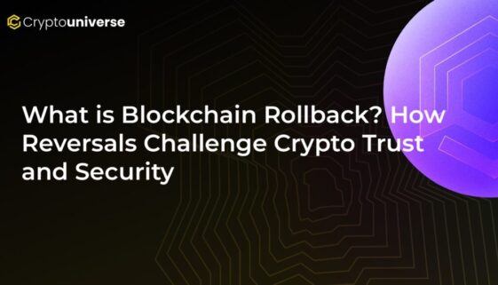 5ddc84b1-25c7-46e3-8aaf-08556399f71d